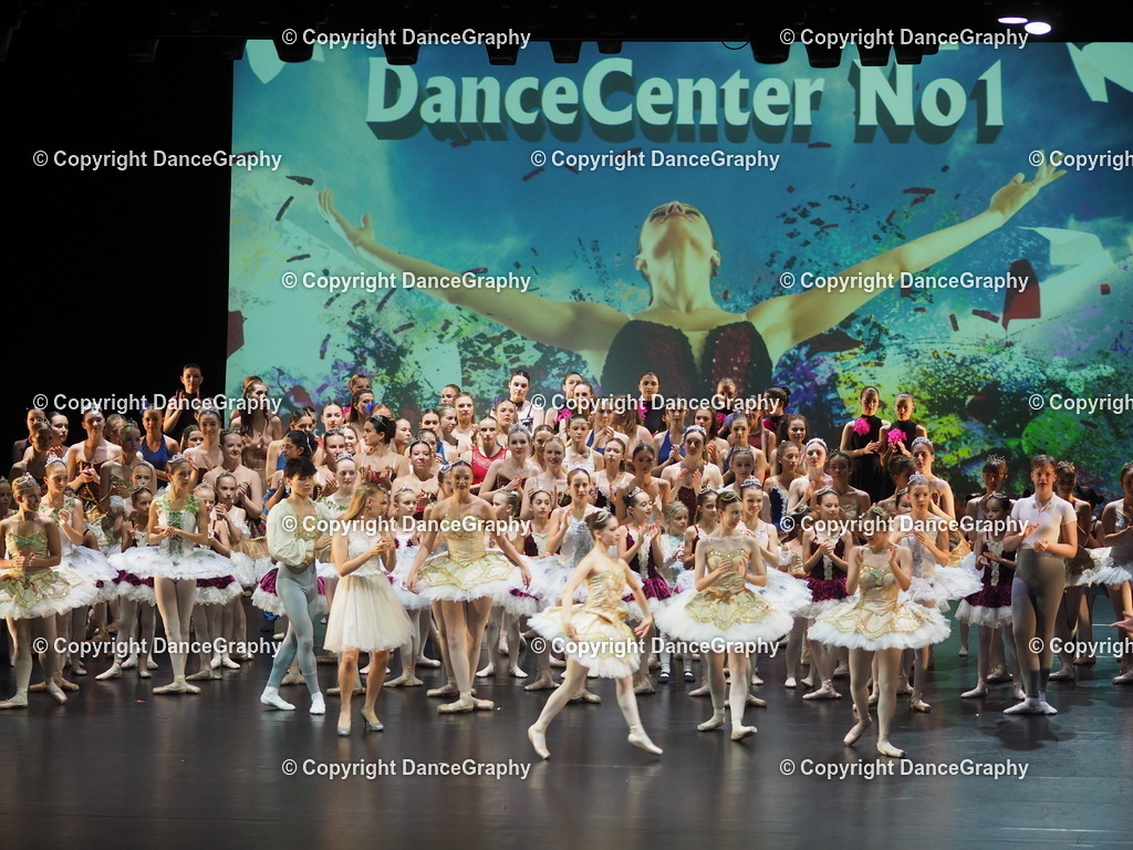 P7260499 | DanceGraphy - Realisiert mit Pictrs.com