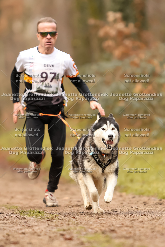 Dog Paparazzi - Speedhunter Mannheim  2025-271 | Dog Paparazzi Jeanette Grottendiek Fotografie & Videografie