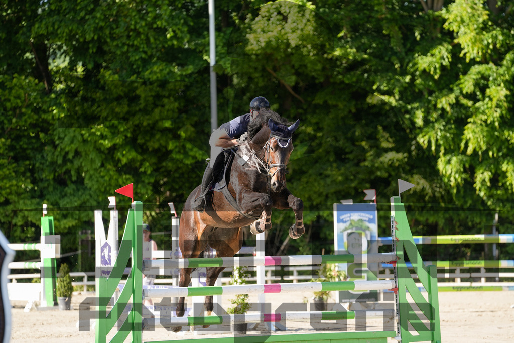 DSC02462 | Julian Held Fotografie - Realisiert mit Pictrs.com