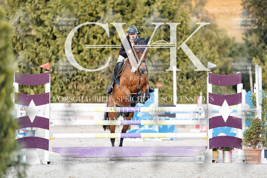 CK901325 | Turnierfotografie Pferdefotografie Trier Rheinland-Pfalz Pferdesport Reitsport Tierfotografie Sportfotografie Pferdevideo Pferdevideografie Equestrianvideography equestrianphotography  - Realisiert mit Pictrs.com