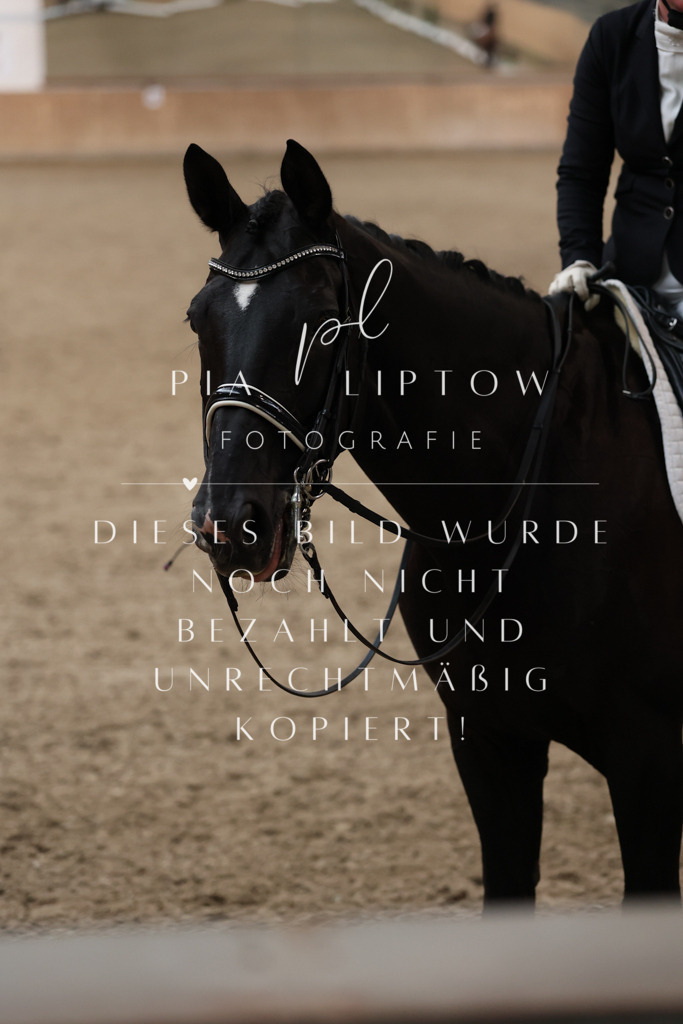 IMGM1137 | pl-fotografie