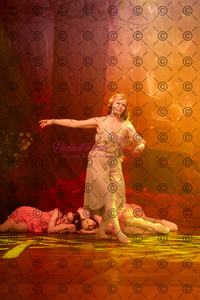 Ballettaufführung-1827 | Bildershop Lem'n Entertainment - Realisiert mit Pictrs.com