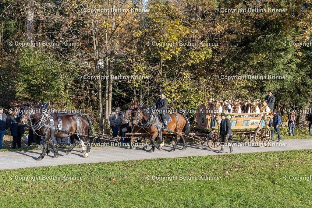 LBT24-142 | foto-bettina-krinner - Realisiert mit Pictrs.com