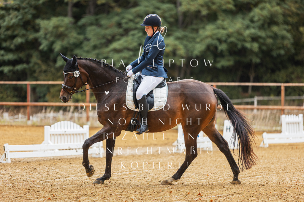 IMGM0434 | pl-fotografie