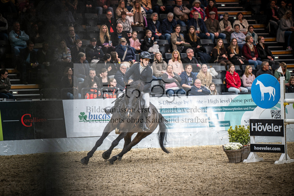 DOS_2698 | Entdecke hochwertige Reitturnierfotos von Foto Oger. Professionell, emotional und authentisch – jetzt Lieblingsmomente im Shop bestellen.Deutschlandweite Turnierfotografie. - Realisiert mit Pictrs.com