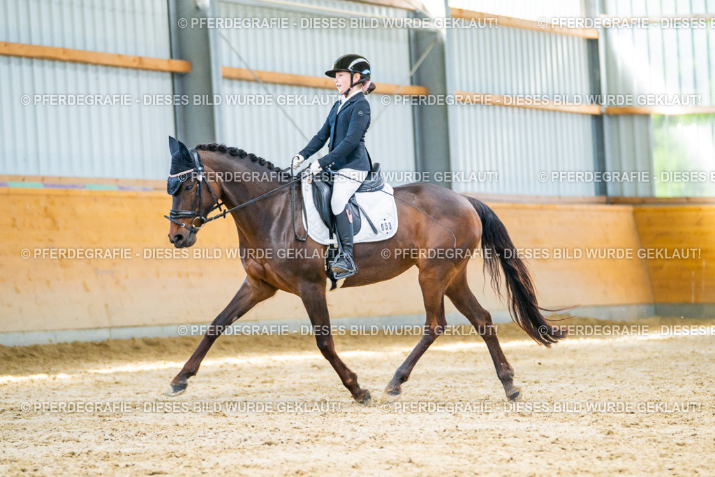 DSC07296 | Pferdegrafie