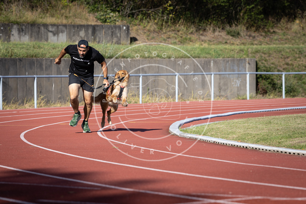 Pfotenfotografie_DV3A9656 | Hundefotografie, Tierfotograf, Pfotenfotografie, Fotoshooting Hund, Hunde Portrait, Hundesport, Hundeportraits, Heideshooting, Hunde, Sportfotograf, Hundefotograf, Turnierhundsport, THS,  - Realisiert mit Pictrs.com