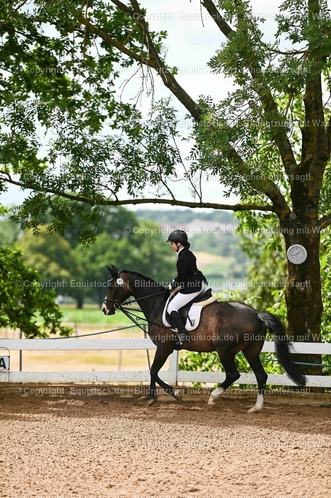 20230716_10-1_Reiter-WB Schritt - Trab - Galopp_0115 | equistock