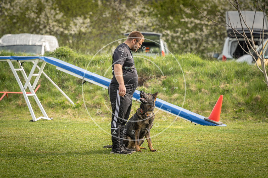 Pfotenfotografie_DV3A5032 | Hundefotografie, Tierfotograf, Pfotenfotografie, Fotoshooting Hund, Hunde Portrait, Hundesport, Hundeportraits, Heideshooting, Hunde, Sportfotograf, Hundefotograf, Turnierhundsport, THS,  - Realisiert mit Pictrs.com