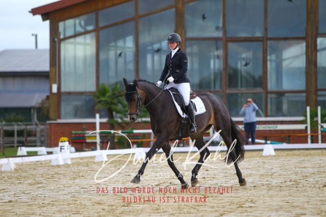 DKP43617 | Turniersportfotografie; Pferdefotografie; Dressurfotografie