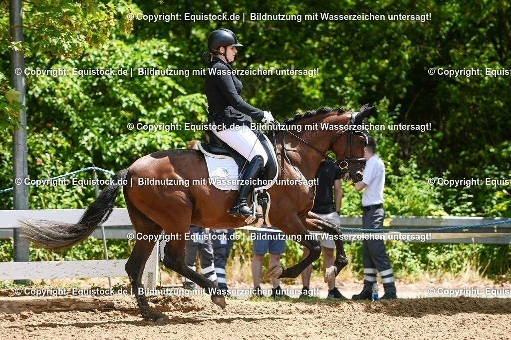 20230716_03_Dressurprfg. Kl.L - Tr._0122 | equistock