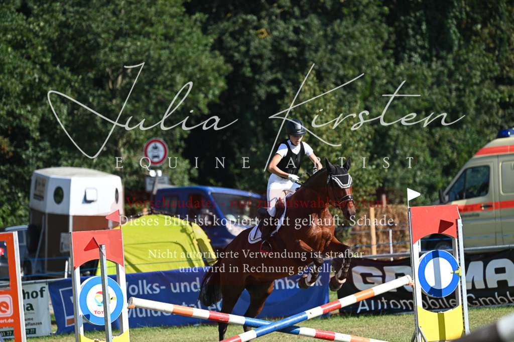 DSC_5280 | Pferde- und Turnierfotografie in Westsachsen. Pferdeportraits, Auftragszeichnungen und intuitive Kunst.