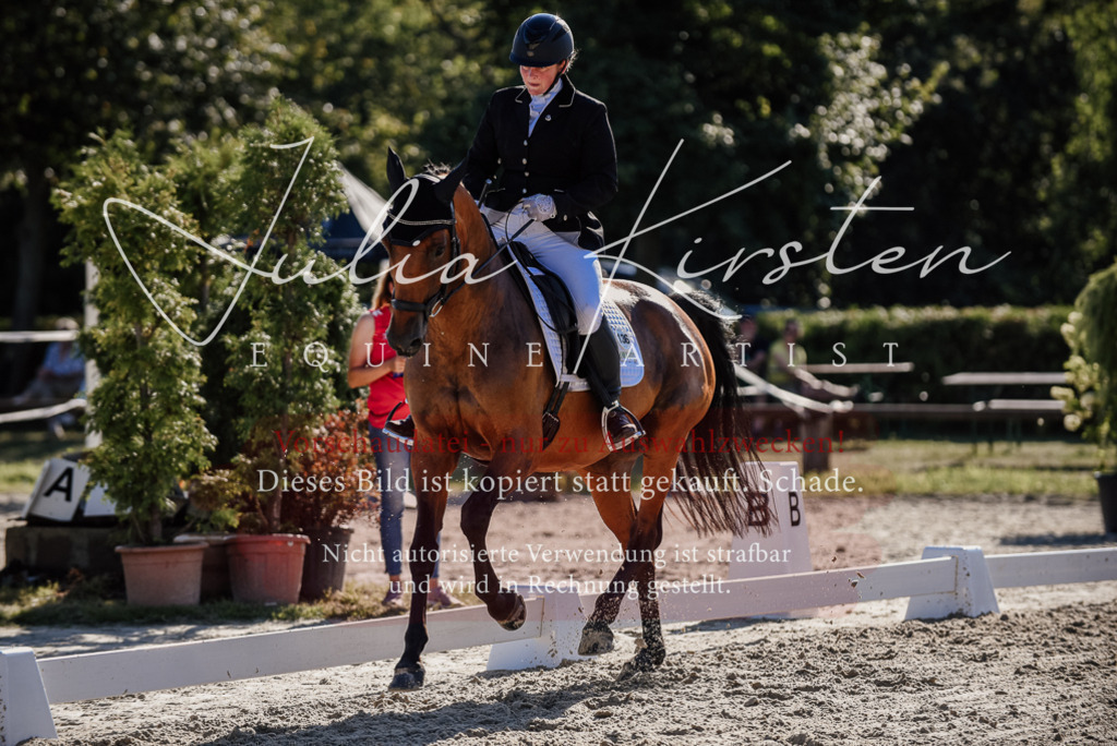 DSC_0375 | Pferde- und Turnierfotografie in Westsachsen. Pferdeportraits, Auftragszeichnungen und intuitive Kunst.