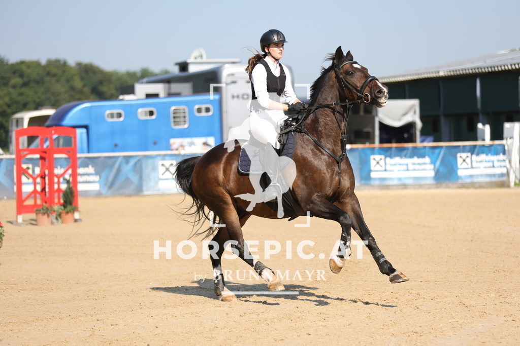 0P6A4931 | Willkommen bei Brunnmayr - Design & Fotografie – Ihrem Spezialisten für Reitturniere und Pferdeveranstaltungen in Oberösterreich, Salzburg und Bayern! Seit über 17 Jahren sind wir leidenschaftlich dabei.