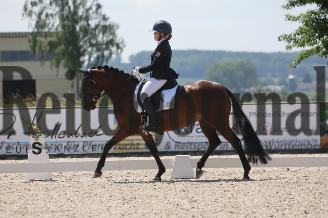 Rot am See_2024_Prfg.Nr.21_Qual.BCH_und_LCH_5-jähr.Ponys_Stella Zimmermann_Duchess Darcy (9) | Alle Fotos der Reiterjournal Fotografin Doris Matthaes im Reiterjournal Online-Fotoshop. - Realisiert mit Pictrs.com
