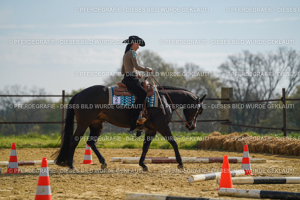 DSC01358 | Pferdegrafie