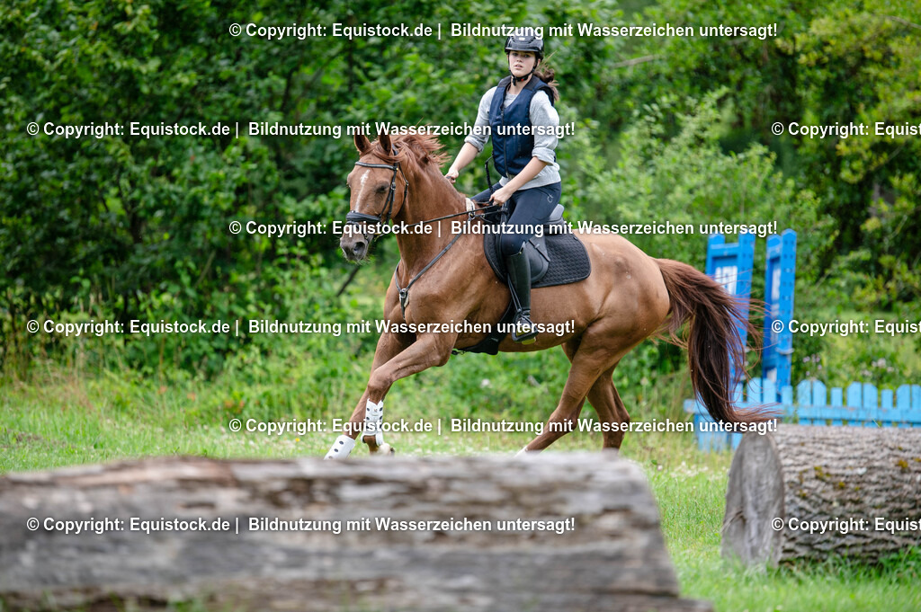 20250725_Vielseitigkeitslehrgang-Marbach_0389 | Foto: Thomas Hartig