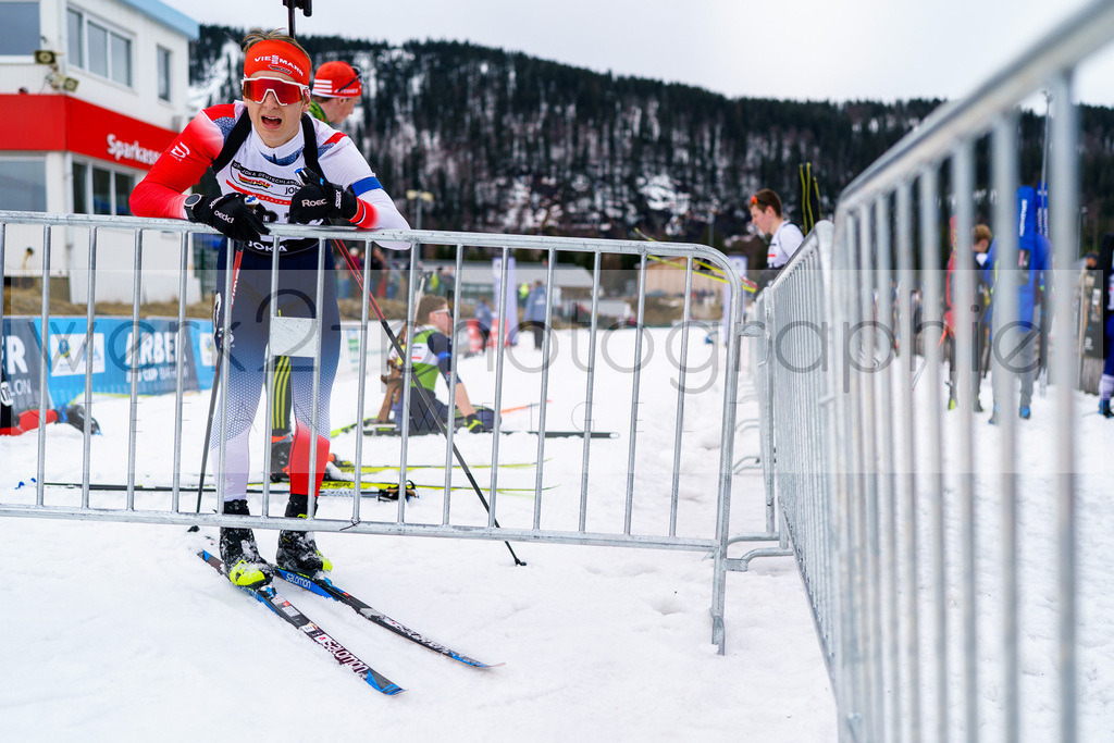 DP ARBER 9.-11.02.2024 | Unter schwierigen Bedingungen zauberte das OK ARBER-Team im Bayerischen Wald eine wettkampffähige Strecke im Arber Hohenzollern Skistadion.