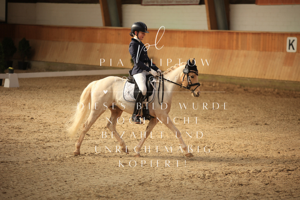 IMGT1539 | pl-fotografie