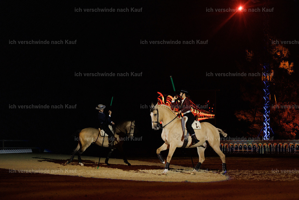 FHClassics-182 | working equitationturnier fotograf videograf stoibphotography marixx film working equitation deutschland reitsport turnierfotografie eventfotografie equestrian events