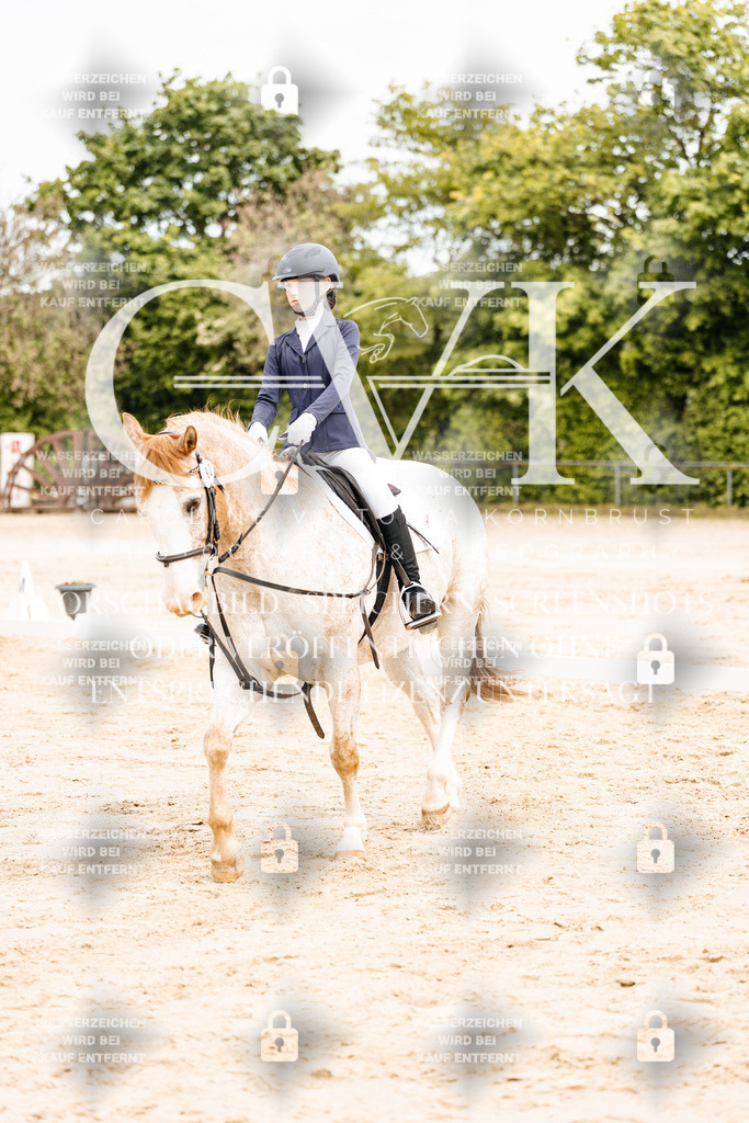 CK904293 | Turnierfotografie Pferdefotografie Trier Rheinland-Pfalz Pferdesport Reitsport Tierfotografie Sportfotografie Pferdevideo Pferdevideografie Equestrianvideography equestrianphotography  - Realisiert mit Pictrs.com