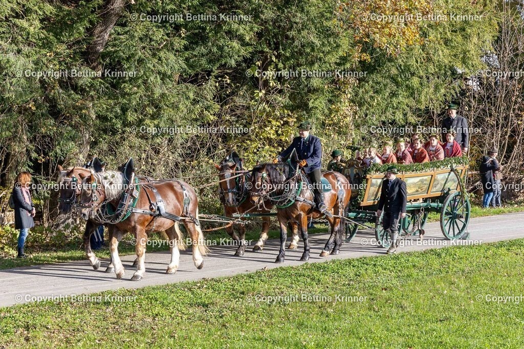 LBT24-114 | foto-bettina-krinner - Realisiert mit Pictrs.com