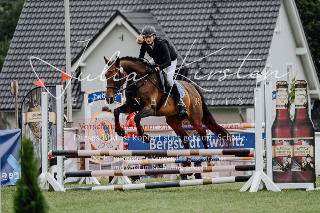 DSC_6953 | Pferde- und Turnierfotografie in Westsachsen. Pferdeportraits, Auftragszeichnungen und intuitive Kunst.