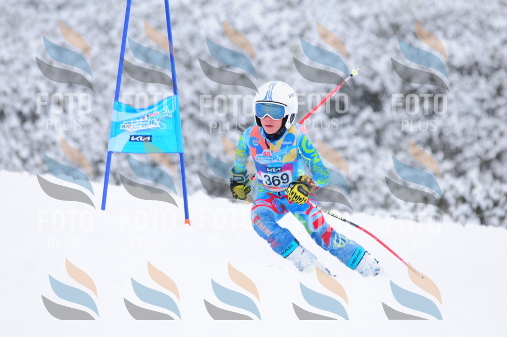 C3945 | holidayphoto