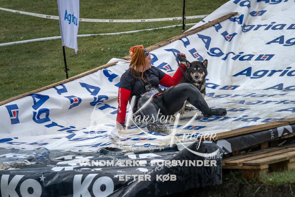 1537_ZZ95809 | kk-dogfotos