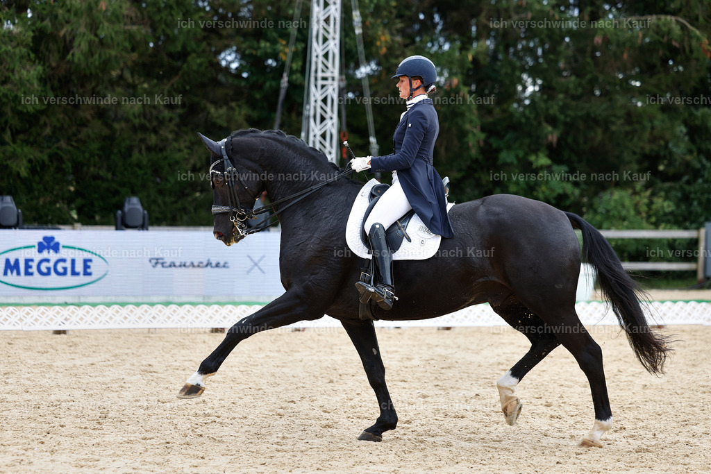 11-042-Dressur S___-StoibPH-1214 | working equitationturnier fotograf videograf stoibphotography marixx film working equitation deutschland reitsport turnierfotografie eventfotografie equestrian events
