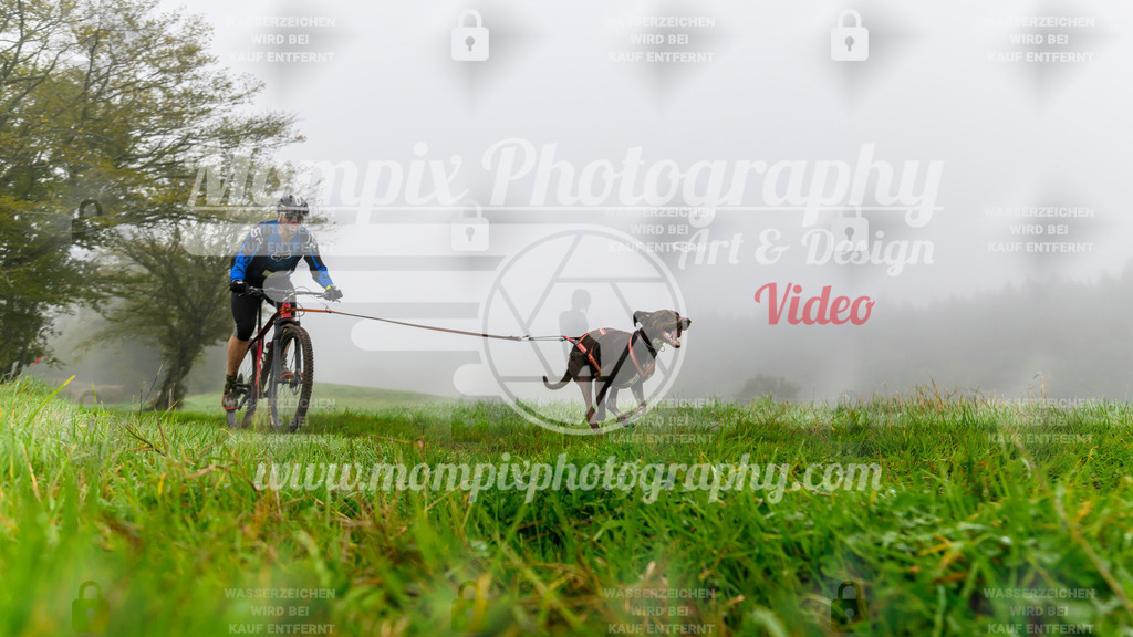 MompixPhotography_20TSB_E5_Bike-57 | PayLife