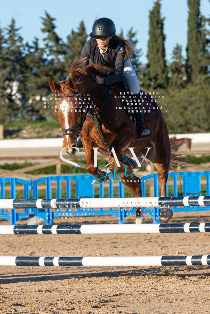 IMG_5903 | s-jay-photography - Realisiert mit Pictrs.com