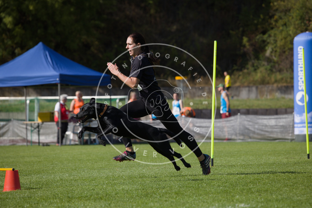 0L8A7953 | Hundefotografie, Tierfotograf, Pfotenfotografie, Fotoshooting Hund, Hunde Portrait, Hundesport, Hundeportraits, Heideshooting, Hunde, Sportfotograf, Hundefotograf, Turnierhundsport, THS,  - Realisiert mit Pictrs.com