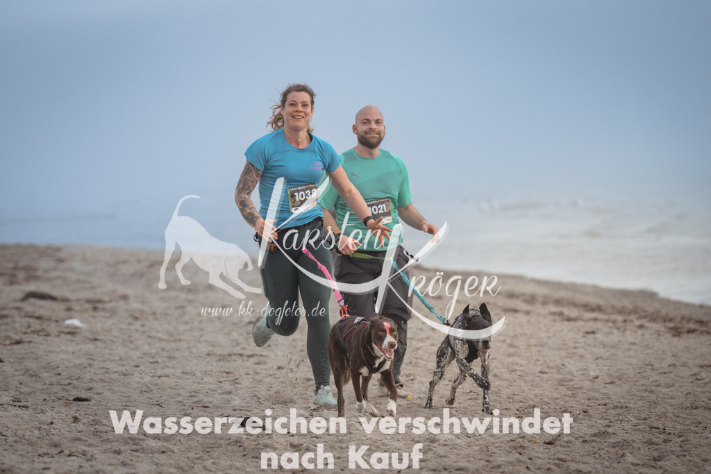 1132_ZZ99131 | kk-dogfotos