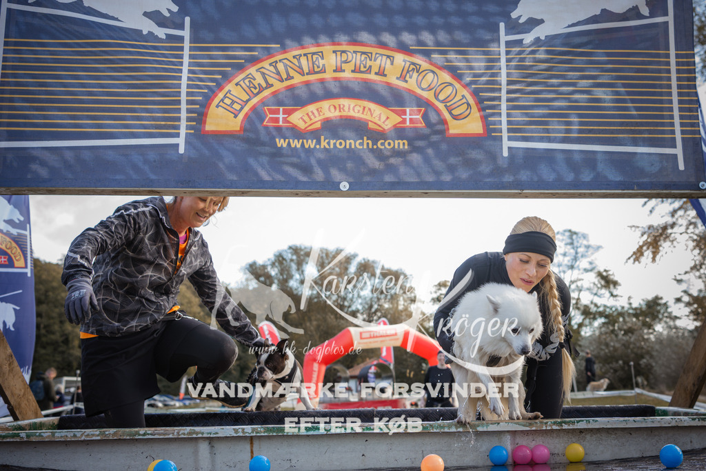 1303_ZZ98851-2 | kk-dogfotos