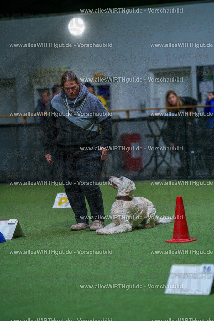 7R502800 | Professionelle Tierfotografie in Mönchengladbach von Daniel Wirth (allesWIRTHgut). Liebevolle & natürliche Bilder von Hunden & Katzen für unvergessliche Erinnerungen.