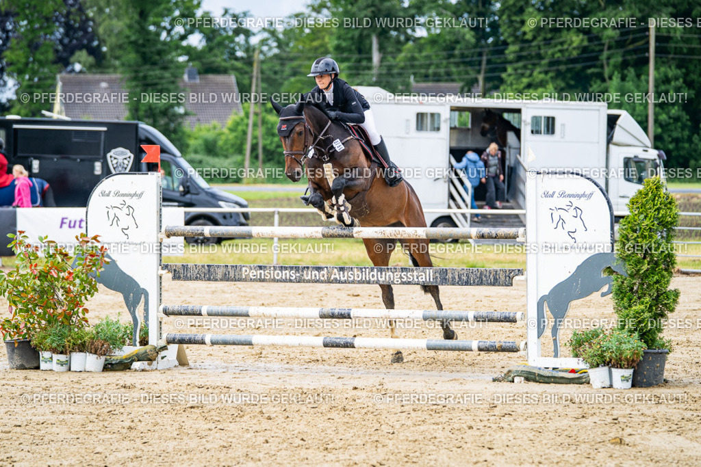 DSC03920 | Pferdegrafie