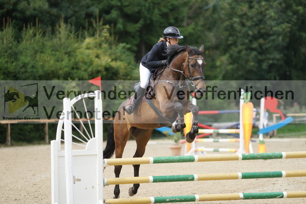 DSC06282 | equestrian-live-com