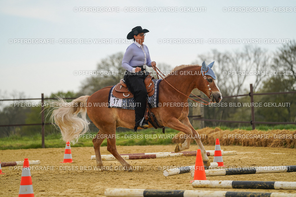 DSC02474 | Pferdegrafie