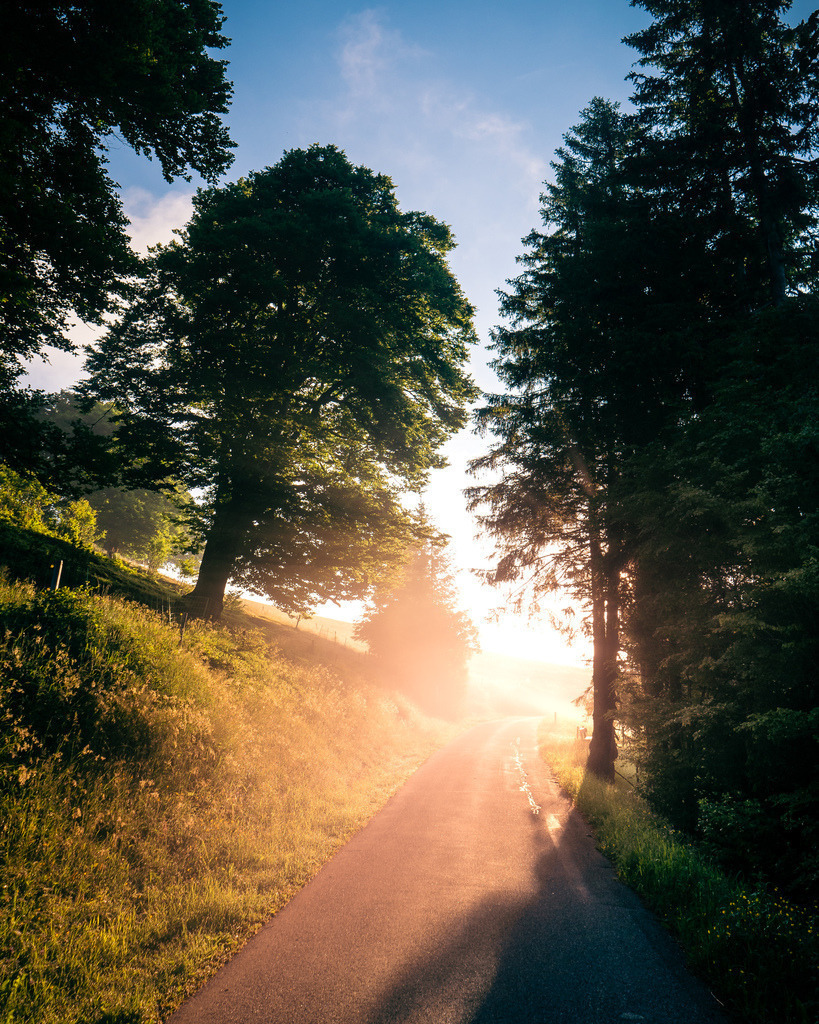 Am Schauinsland | Morgensonne am Schauinsland bei Freiburg im Breisgau - Realisiert mit Pictrs.com