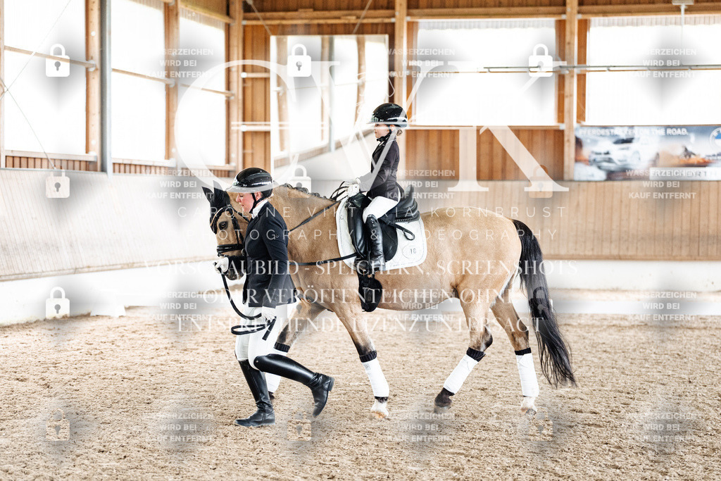 CK901823 | Turnierfotografie Pferdefotografie Trier Rheinland-Pfalz Pferdesport Reitsport Tierfotografie Sportfotografie Pferdevideo Pferdevideografie Equestrianvideography equestrianphotography  - Realisiert mit Pictrs.com