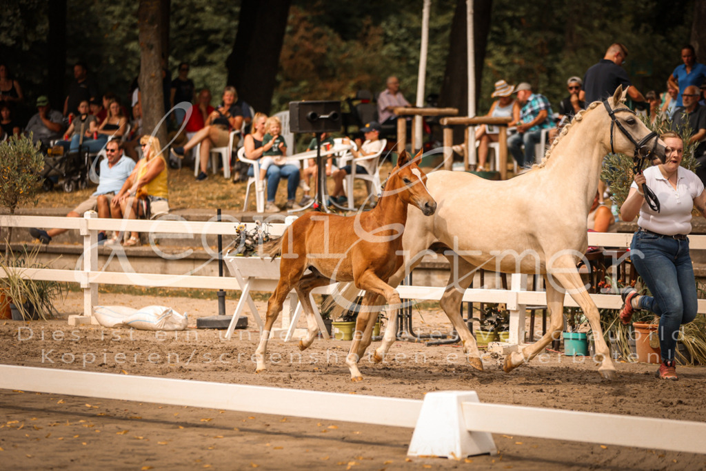 SaPA00082 | Leoni Ertmer Photography - Realisiert mit Pictrs.com