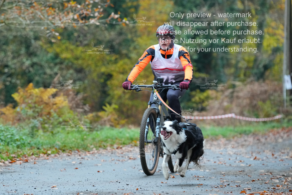 Bike_So-64 | stephaniefillaphotographie - Realisiert mit Pictrs.com