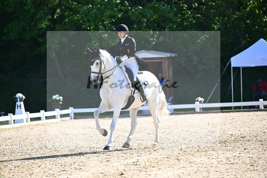 Schuermann_Heldgards Accoya_12244853 | hf-fotografie - Realisiert mit Pictrs.com