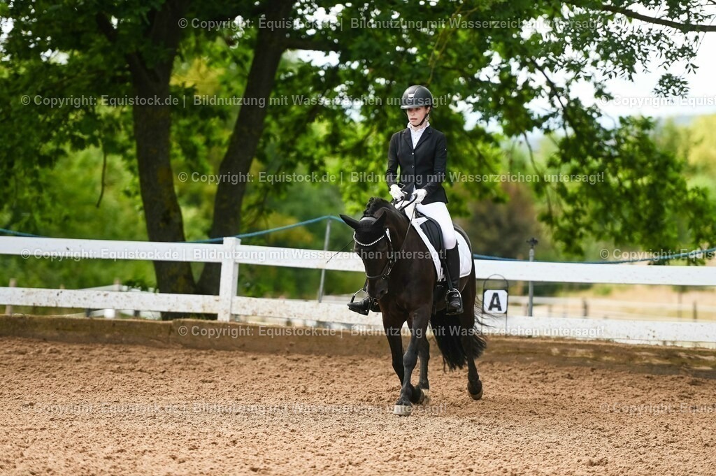 20230716_04_Dressurreiterprüfung Kl.A_0312 | equistock
