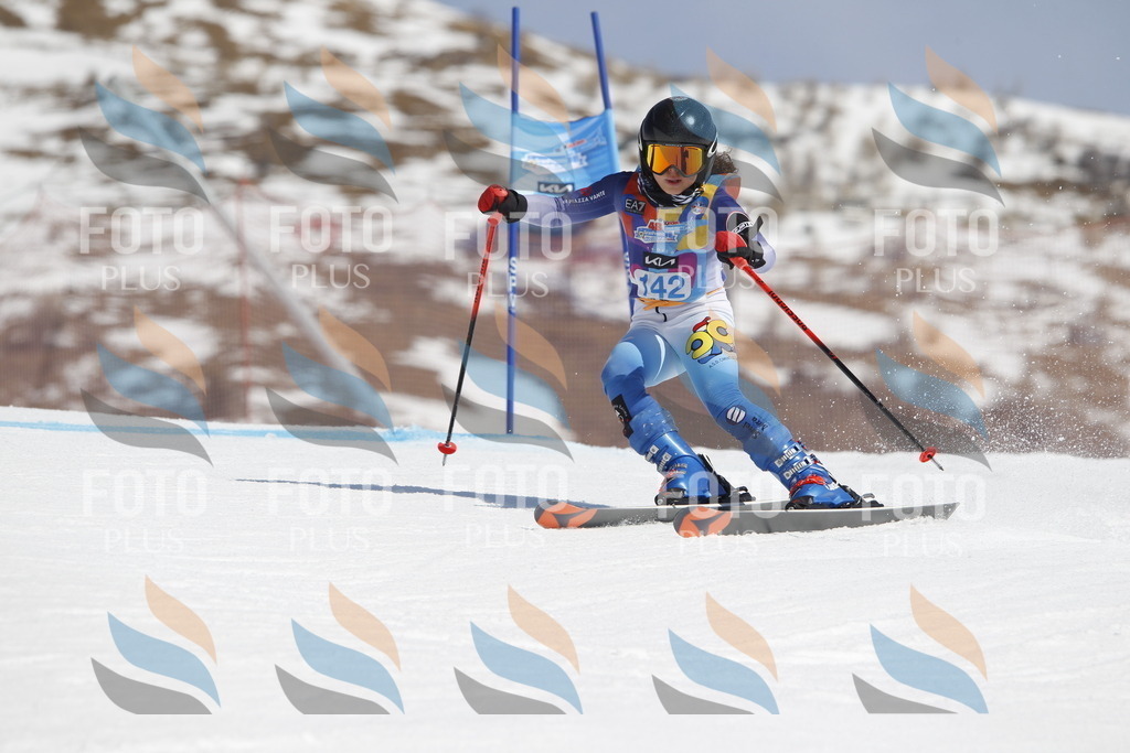 _U3G1066 | holidayphoto