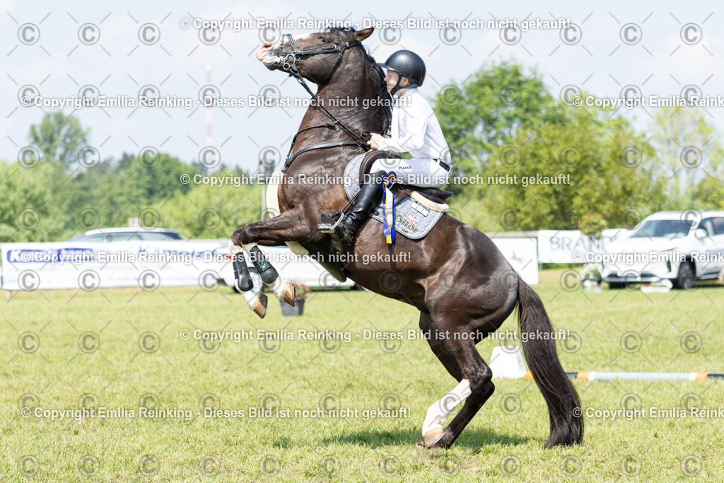 CL5A3838 | Emilia Reinking Fotografie - Realisiert mit Pictrs.com