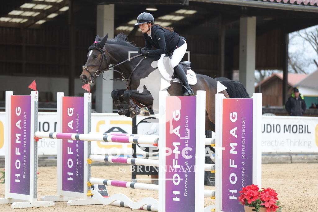 0P6A4207 | Willkommen bei Brunnmayr - Design & Fotografie – Ihrem Spezialisten für Reitturniere und Pferdeveranstaltungen in Oberösterreich, Salzburg und Bayern! Seit über 17 Jahren sind wir leidenschaftlich dabei.