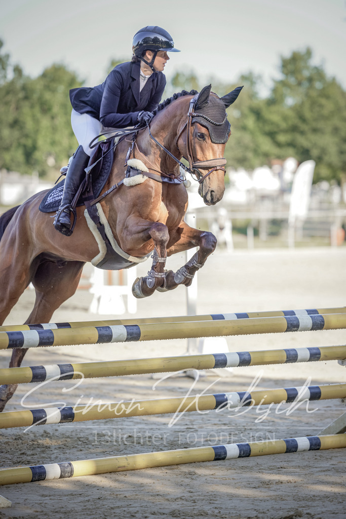 20250906-_3LI3064 | Tierfotografie Pferde, Hunde, Katzen, Haustiere.
Turnierfotografie Reitturniere, Reiten, Springreiten, Dressur in Hanau, dem Main-Kinzig-Kreis und dem Rhein-Main- Gebiet um Frankfurt