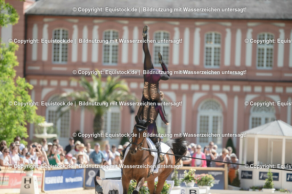 20230528_Voltigieren_NASPA_0238 | equistock